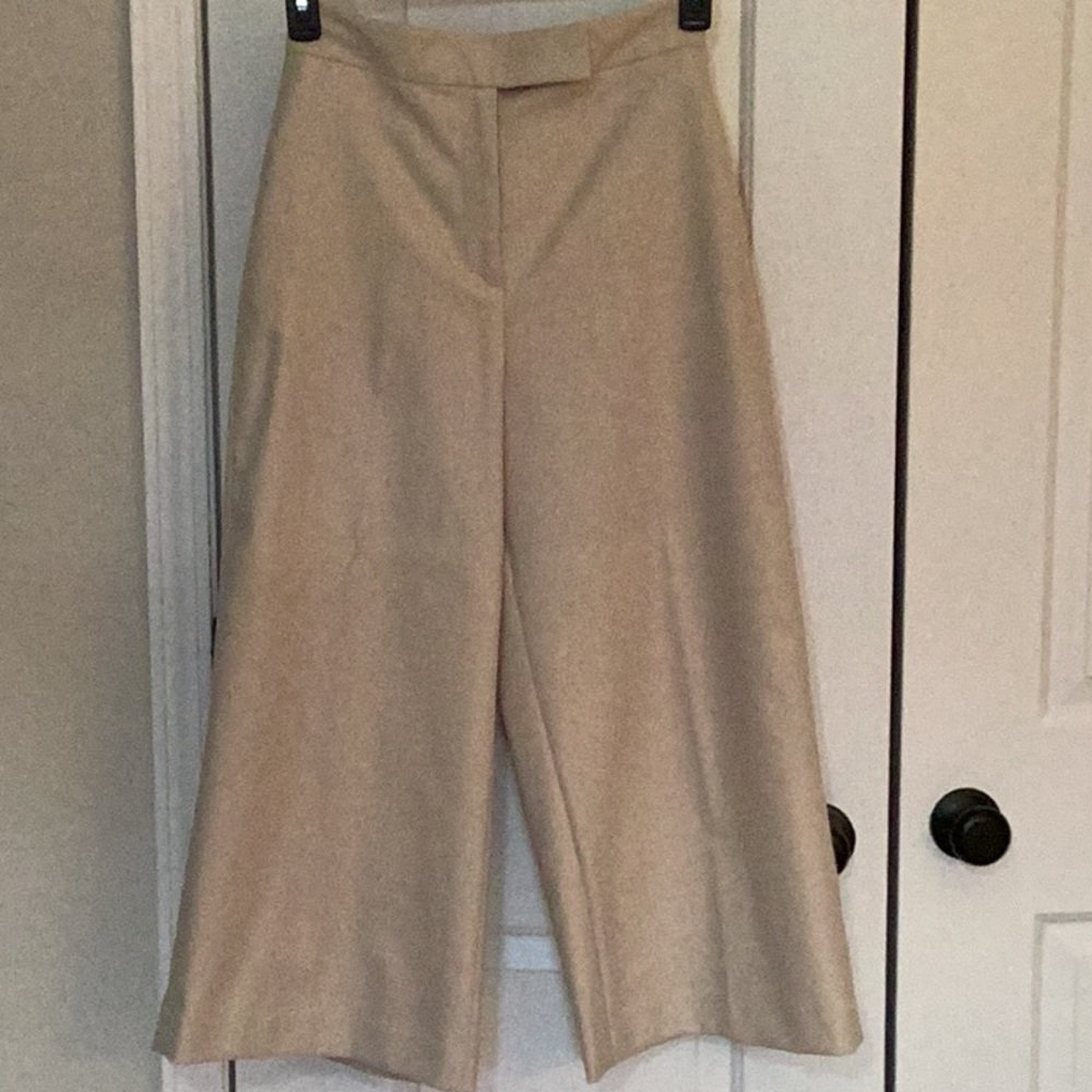 Zara cropped wide leg pants